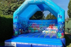 120065167_205983950950149_2932646199087882755_n