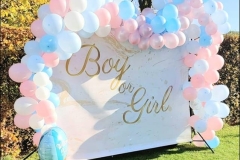 1_315550179_612910214175338_1953944343562402767_n