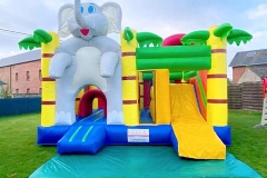 277297656_417041027095592_154829926685746919_n