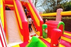 278144356_428685039264524_5651859059973545550_n