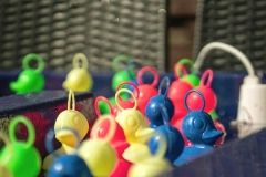 278221566_428685552597806_7951186730211935687_n