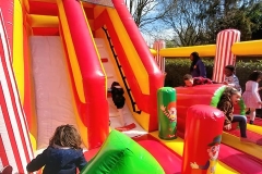 278250891_428685355931159_4518494915404412551_n