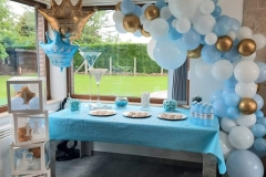 313439731_598135678986125_4793697261299976392_n