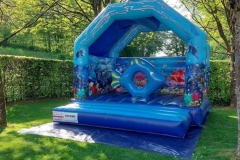 313441661_598131328986560_9023699253632510281_n